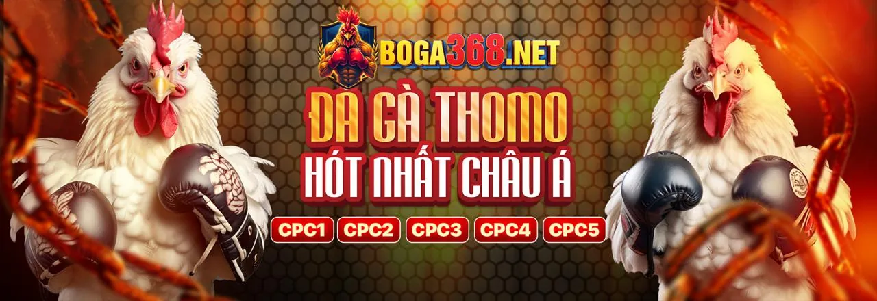 Hình ảnh chính Blog Netwin Link Vào 2026